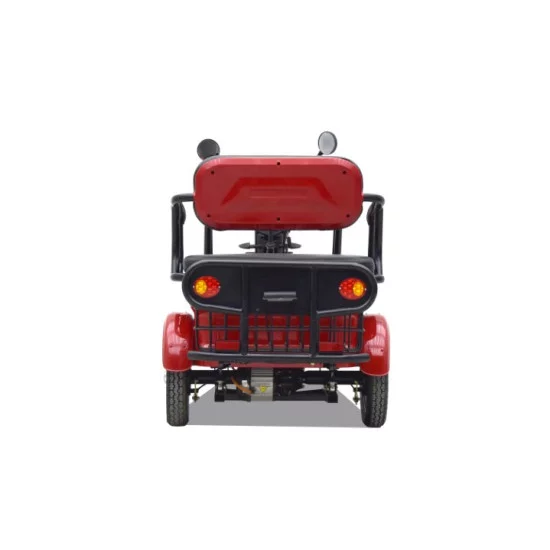 ENERBIKE JP800 DUO - elektrická trojkolka pre dvoch - 1000W 72V 20Ah max. 25km/h